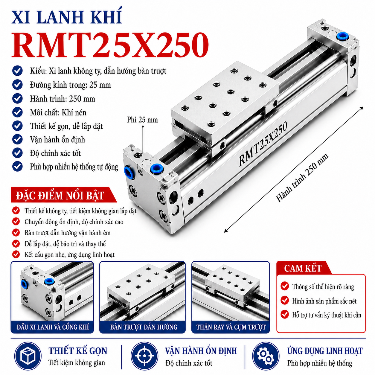 Xi lanh khí RMT25X250
